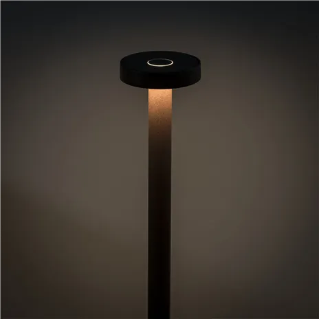 Sompex BORO ruggine lampada da terra a batt.