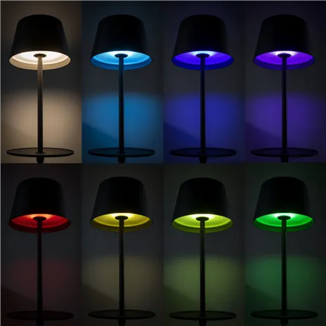 Sompex GARCON antracite lampada da pavimento a batt.