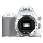 Canon EOS 250D white + EF-S 18-55/3.5-5.6 IS STM