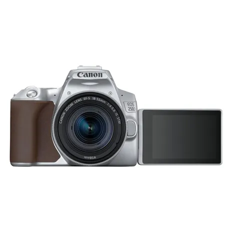 Canon EOS 250D silver + EF-S 18-55/3.5-5.6 IS STM