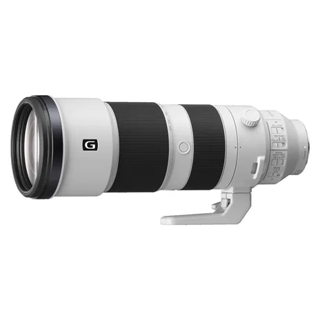 Sigma AF 300-600/4.0 (C) DG OS Full-Frame Sony E-mount
