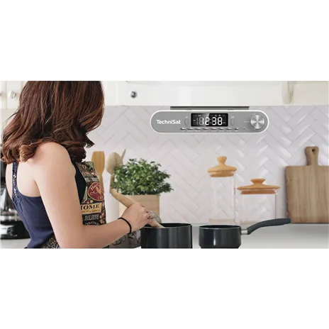 Technisat Viola argento