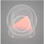 Astropet lettiera per gatti autopulente serie Neptune