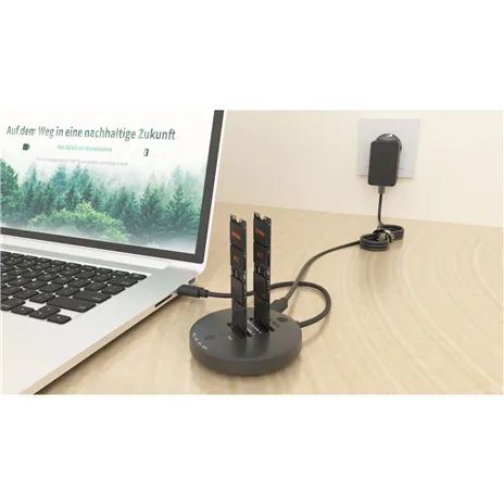 ICY BOX IB-1612MCL-C31 DockingStation M.2 NVMe&SATA SSD