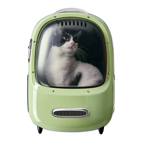 PETKIT Breezy2 Smart Cat Carrier verde (P7704b)