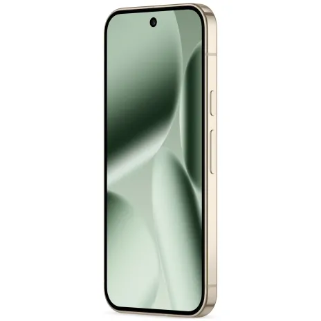 Google Pixel 10 Pro (256GB) jade