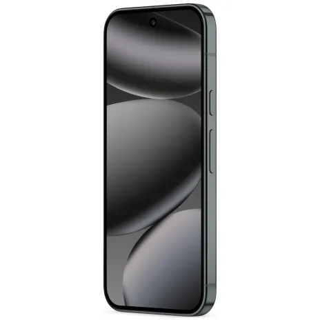 Google Pixel 10 Pro (1TB) obsidian