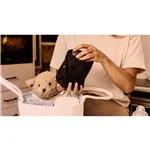 Motorola PIP12 Travel