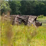 Buteo Photo Gear Falco Mark IV reed