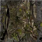 Buteo Photo Gear Rain Cover for Falco Mark IV green