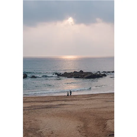 Samyang AF 2,8/24-60 FE   Sony E Schneider Kreuznach