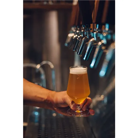 Samyang AF 2,8/24-60 FE   Sony E Schneider Kreuznach