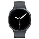Samsung Galaxy Watch8 LTE (44mm) graffite