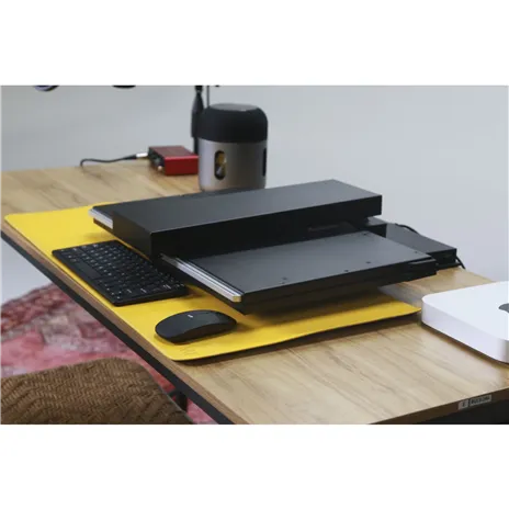 Mobile Pixels Geminos 24 duale FHD-screen extension