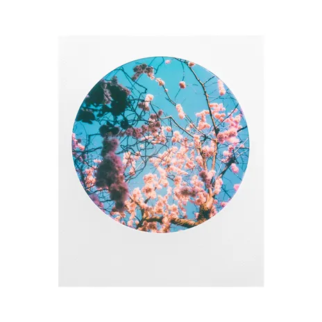 Polaroid 6001 Camera - Round