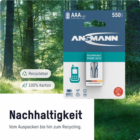 1x2 Ansmann maxE NiMH batteria Micro AAA 800 mAh DECT PHONE