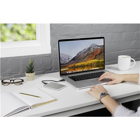 Verbatim Store n Go 2,5  ALU 1TB USB 3.2 Gen 1 argento     53663