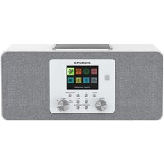 Grundig DTR 6100 bian.