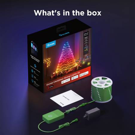 Govee String Lights 2S 20m