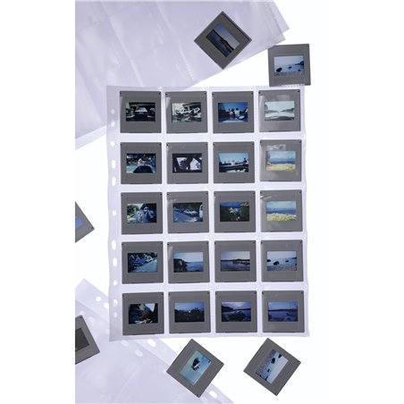 Herma Custodia dia 5x5 100 fogli chiaro/opaco                7699