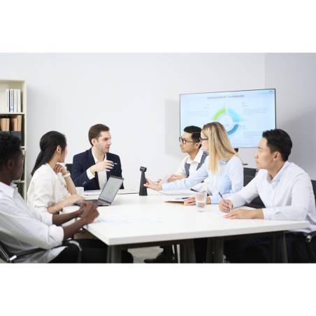 IPEVO Vocal KI Bluetooth Vivavoce