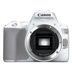 Canon EOS 250D white + EF-S 18-55/3.5-5.6 IS STM 2