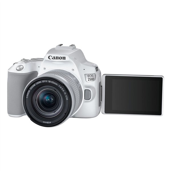 Canon EOS 250D white + EF-S 18-55/3.5-5.6 IS STM