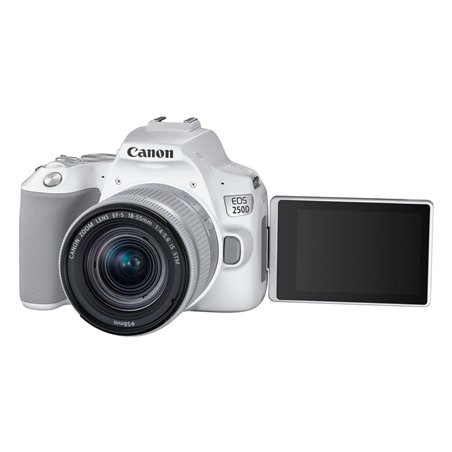 Canon EOS 250D white + EF-S 18-55/3.5-5.6 IS STM