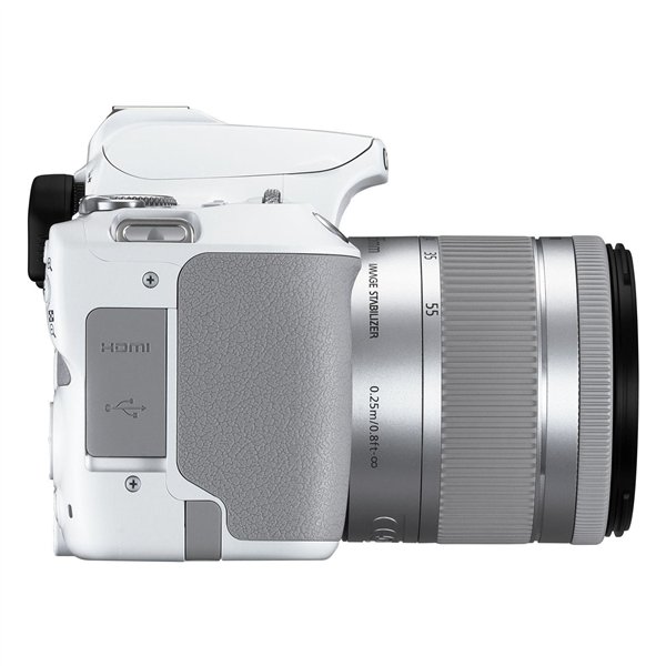 Canon EOS 250D white + EF-S 18-55/3.5-5.6 IS STM