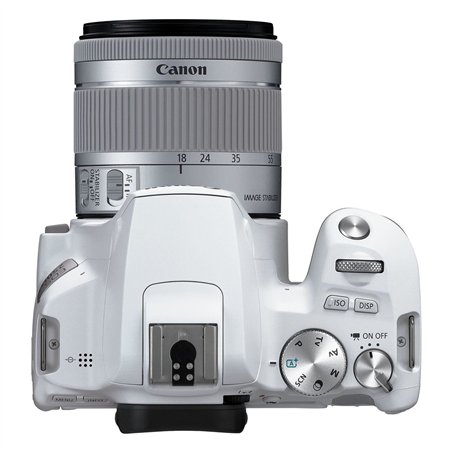 Canon EOS 250D white + EF-S 18-55/3.5-5.6 IS STM