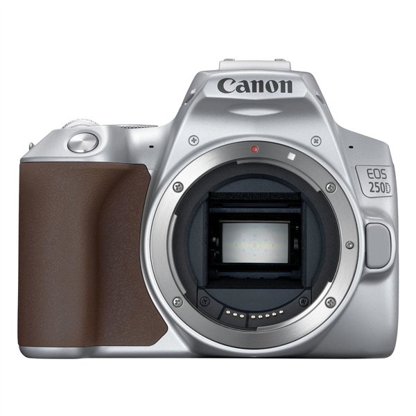 Canon EOS 250D silver + EF-S 18-55/3.5-5.6 IS STM