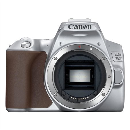 Canon EOS 250D silver + EF-S 18-55/3.5-5.6 IS STM