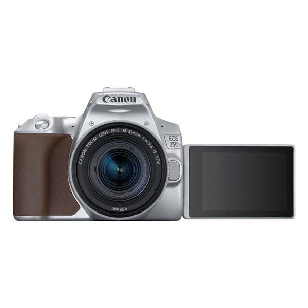 Canon EOS 250D silver + EF-S 18-55/3.5-5.6 IS STM