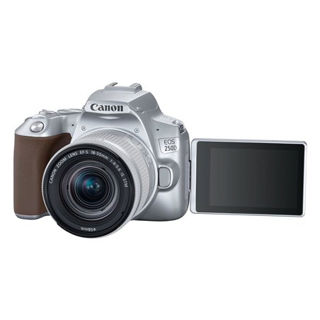 Canon EOS 250D silver + EF-S 18-55/3.5-5.6 IS STM