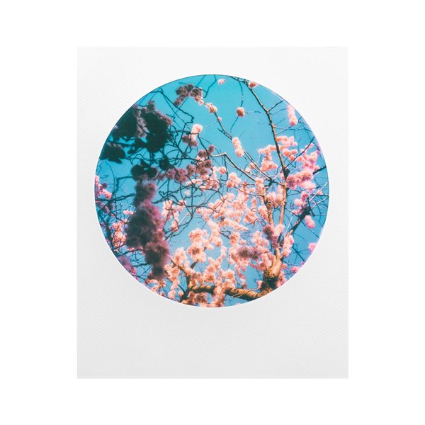 Polaroid 6001 Camera - Round