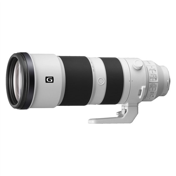 Sigma AF 300-600/4.0 (C) DG OS Full-Frame L-mount