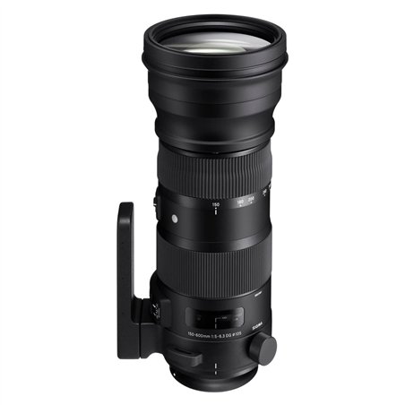 Sigma AF 150-600/5-6,3 (S) DG OS HSM Sony E-moun