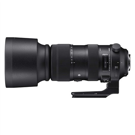 Sigma AF 60-600/4,5-6,3 (S) DG OS HSM Nikon AF