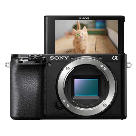 Sony Alpha 6100 + SELP 16-50/3,5-5,6 OSS ver.2025 [ILCE6100AKB.CEC]