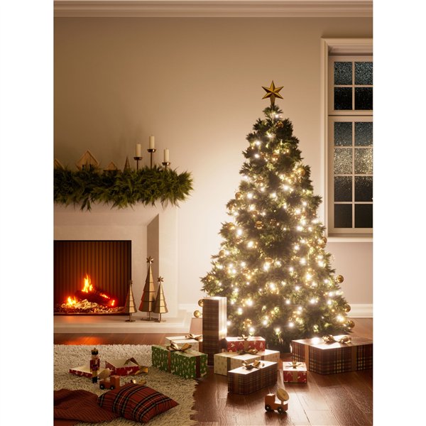 Nanoleaf Holiday Matter String Lights - 250 LEDs 20m