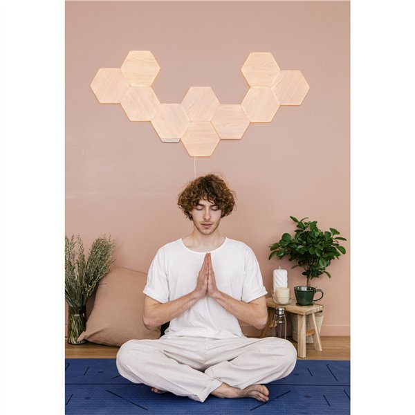 Nanoleaf Elements Wood Look Hexagons Expansion Pack - 3PK