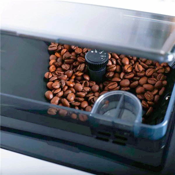 Acopino Cremona bianco