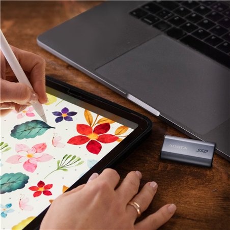 ADATA SSD SC750 esterno      1TB Plug&Go argento 1050/1000