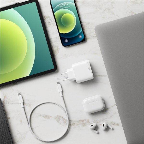 Alogic Rapid Power 65W USB-C PD Fast GaN caricab. +USB-C cavo 2m
