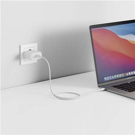 Alogic Rapid Power 65W USB-C PD Fast GaN caricab. +USB-C cavo 2m