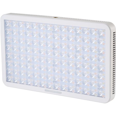 Amaran pano 60c Set bianco