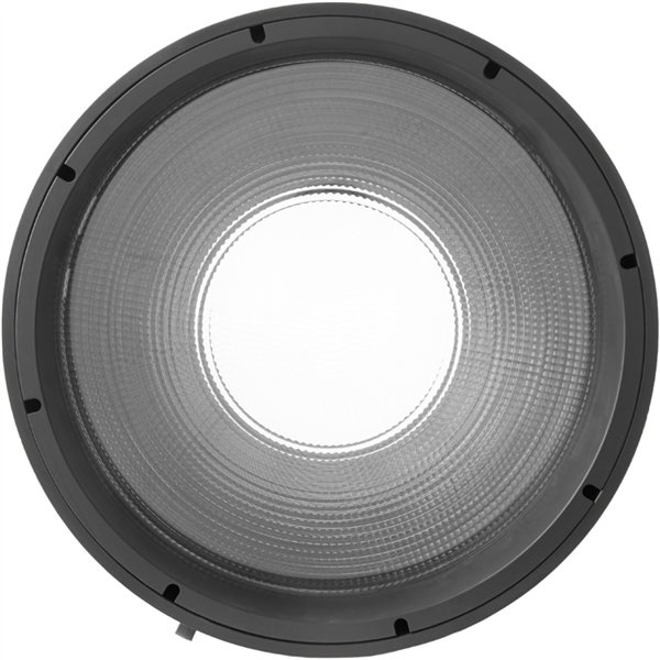 Amaran Fresnel für Ray