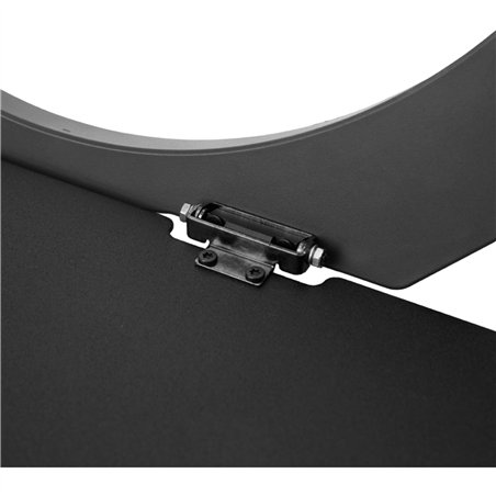 Amaran Fresnel für Ray