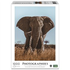 Ambassador elefante africano 1000 pezzi (Donal Boyd)