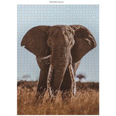 Ambassador elefante africano 1000 pezzi (Donal Boyd) 2